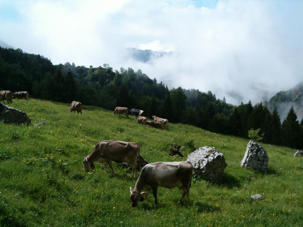 Agriturismo La Zangola Tremosine Kültér fotó